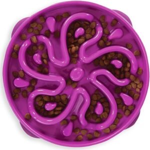Outward Hound Fun Feeder Slo Bowl – Large 4‑Cup Capacity, Slow Feeding, Medium to Large Dogs, Non‑Slip, Purple, Flower Pattern